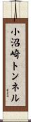 小沼崎トンネル Scroll