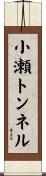 小瀬トンネル Scroll