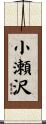 小瀬沢 Scroll
