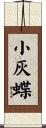 小灰蝶 Scroll