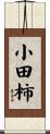 小田柿 Scroll