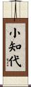 小知代 Scroll
