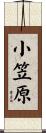 小笠原 Scroll