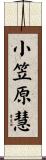 小笠原慧 Scroll