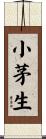 小茅生 Scroll