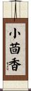 小茴香 Scroll