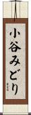 小谷みどり Scroll