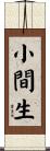 小間生 Scroll