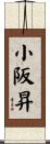 小阪昇 Scroll