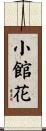 小館花 Scroll
