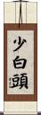 少白頭 Scroll