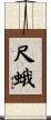 尺蛾 Scroll