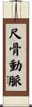 尺骨動脈 Scroll