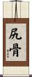尻骨 Scroll