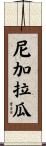 尼加拉瓜 Scroll