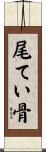尾てい骨 Scroll