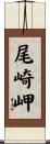 尾崎岬 Scroll