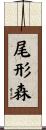 尾形森 Scroll