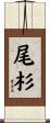 尾杉 Scroll