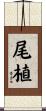 尾植 Scroll
