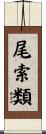 尾索類 Scroll