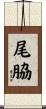 尾脇 Scroll
