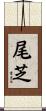 尾芝 Scroll