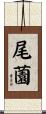 尾薗 Scroll