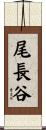尾長谷 Scroll