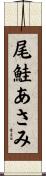 尾鮭あさみ Scroll