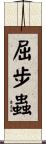 屈步蟲 Scroll