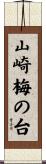 山崎梅の台 Scroll