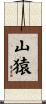 山猿 Scroll