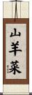 山羊菜 Scroll