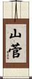 山菅 Scroll