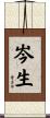 岑生 Scroll