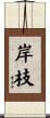 岸枝 Scroll