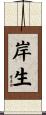 岸生 Scroll