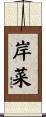 岸菜 Scroll