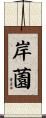 岸薗 Scroll