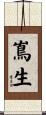 嶌生 Scroll