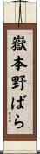 嶽本野ばら Scroll