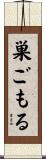 巣ごもる Scroll