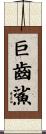 巨齒鯊 Scroll