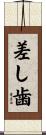 差し歯 Scroll
