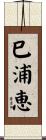 巳浦恵 Scroll