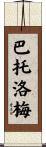 Bartolome Scroll