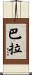 Bara Scroll