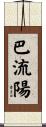 巴流陽 Scroll