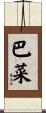 巴菜 Scroll